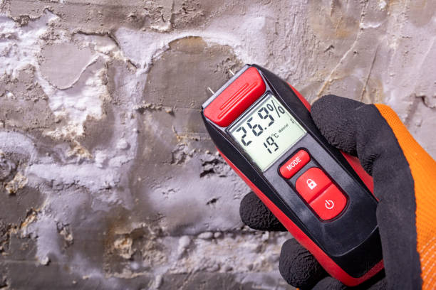 Best Emergency Mold Removal  in Dupont, WA